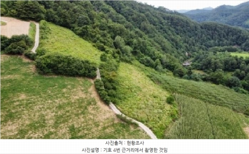2025타경1045 강원특별자치도 정선군 화암면 몰운리 391-1 농지 경매 이미지