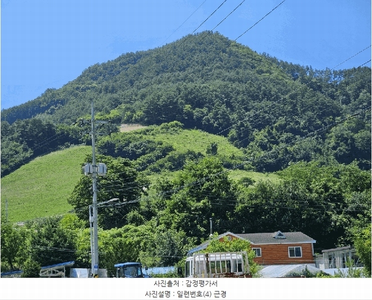 2025타경1045 강원특별자치도 정선군 화암면 몰운리 391-1 농지 경매 이미지