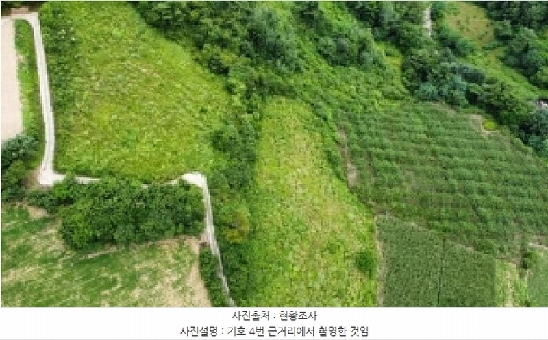 2025타경1045 강원특별자치도 정선군 화암면 몰운리 391-1 농지 경매 이미지