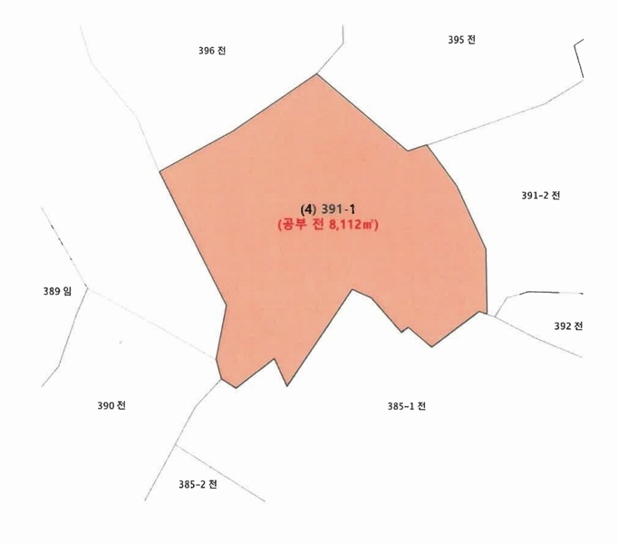 2025타경1045 강원특별자치도 정선군 화암면 몰운리 391-1 농지 경매 이미지