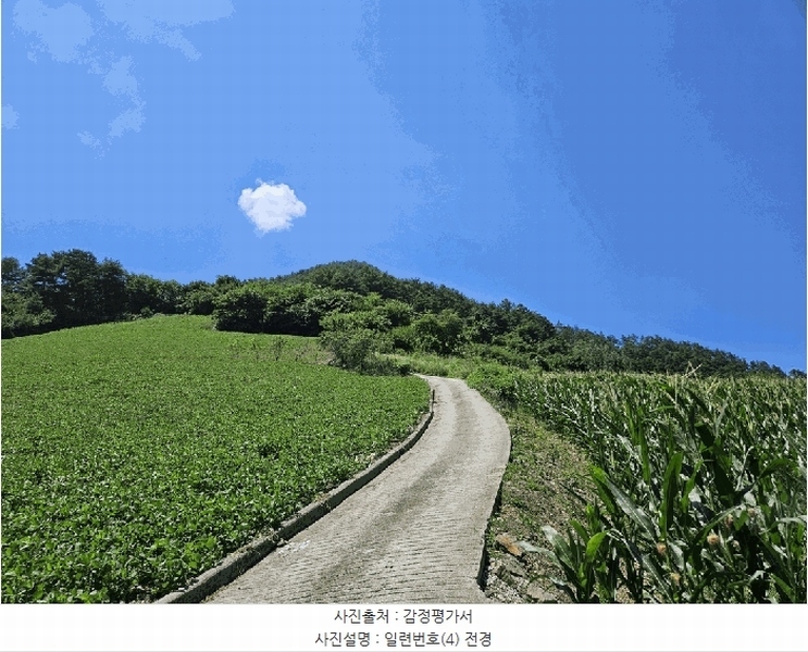 2025타경1045 강원특별자치도 정선군 화암면 몰운리 391-1 농지 경매 이미지