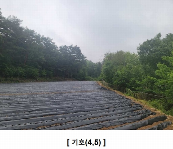2025타경30466 강원특별자치도 평창군 대관령면 병내리 353-2 농지 경매 이미지