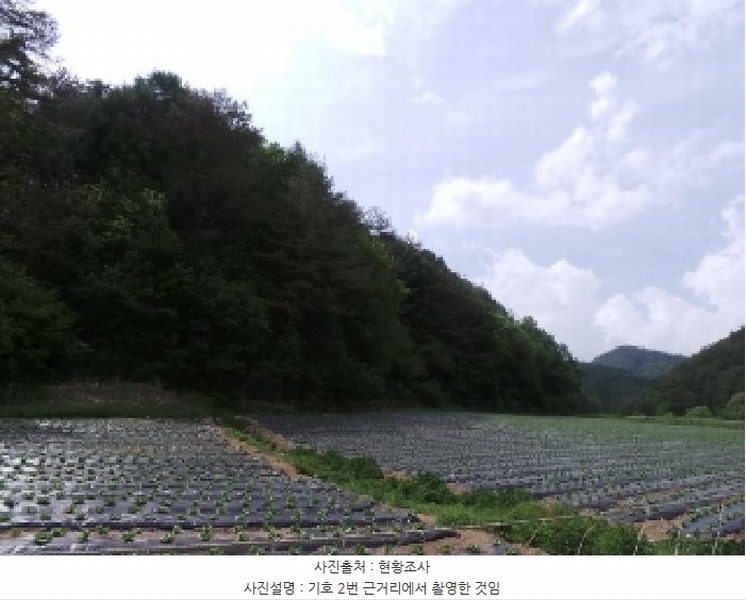 2025타경30466 강원특별자치도 평창군 진부면 상진부리 산200-3 임야 경매 이미지