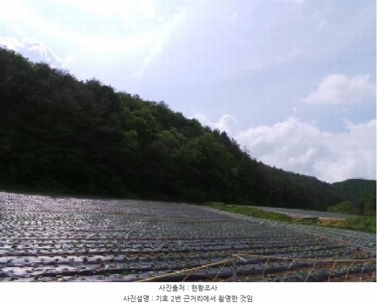 2025타경30466 강원특별자치도 평창군 진부면 상진부리 산200-3 임야 경매 이미지