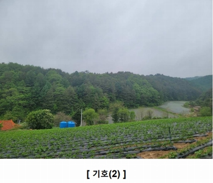2025타경30466 강원특별자치도 평창군 진부면 상진부리 산200-3 임야 경매 이미지
