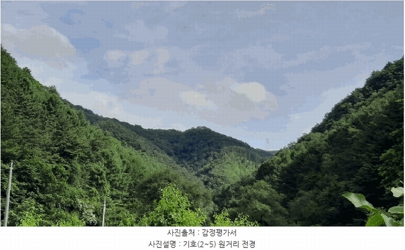 2025타경30495 강원특별자치도 정선군 화암면 석곡리 654 임야 경매 이미지