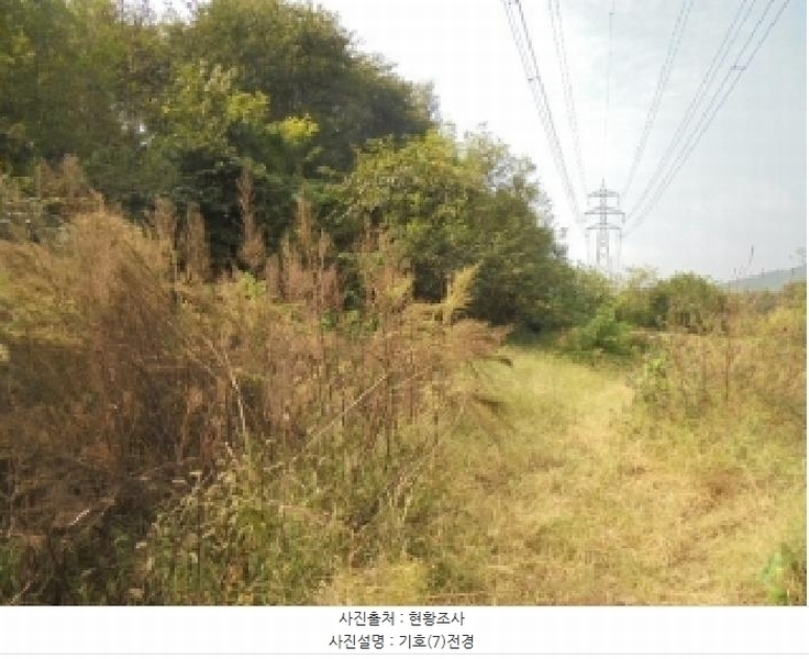 2025타경448 충청남도 부여군 석성면 현내리 726-11 임야 경매 이미지