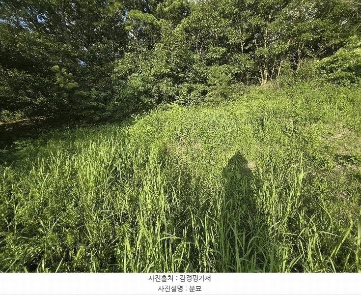 2025타경448 충청남도 부여군 석성면 현내리 726-11 임야 경매 이미지