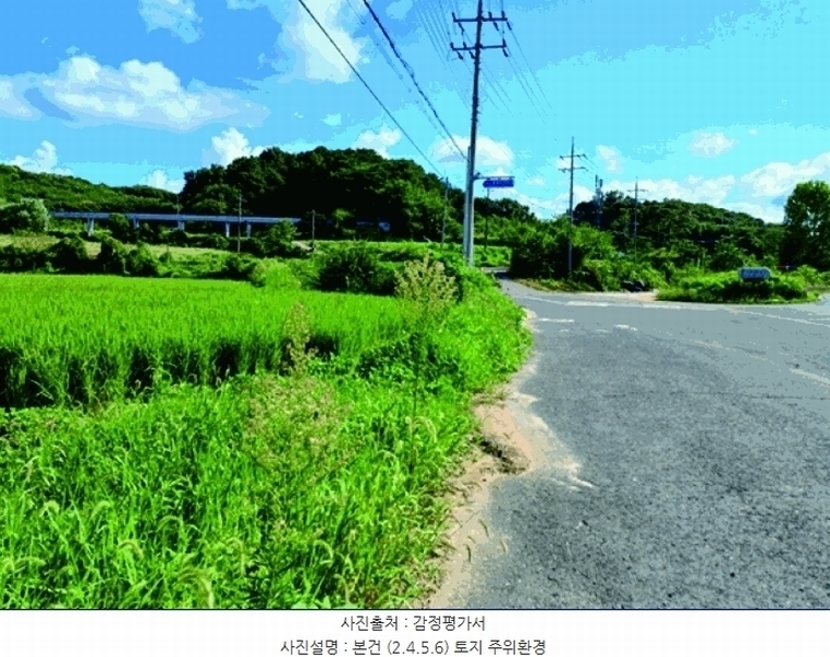 2025타경20455 충청남도 부여군 양화면 암수리 380 농지 경매 이미지