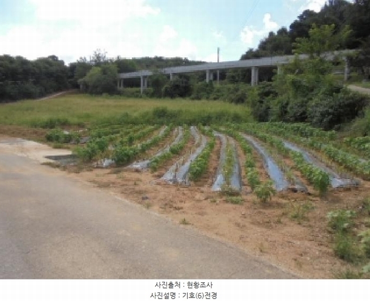 2025타경20455 충청남도 부여군 양화면 암수리 380 농지 경매 이미지