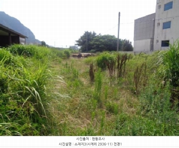 2025타경8341 제주특별자치도 서귀포시 안덕면 사계리 2936-11 대지 경매 이미지