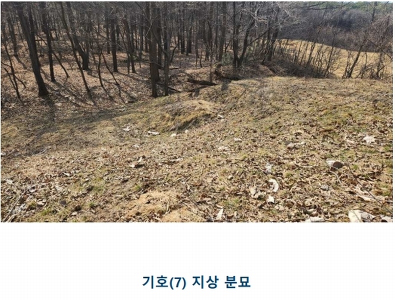 2024타경52534 경기도 안성시 보개면 기좌리 산49 임야 경매 이미지