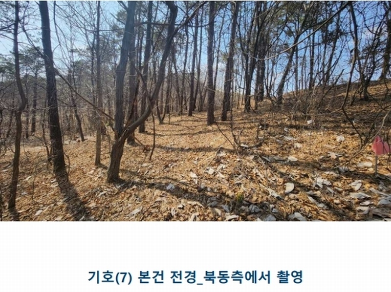 2024타경52534 경기도 안성시 보개면 기좌리 산49 임야 경매 이미지