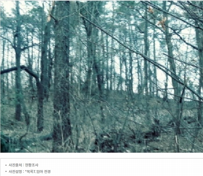 2024타경52534 경기도 안성시 보개면 기좌리 산49 임야 경매 이미지