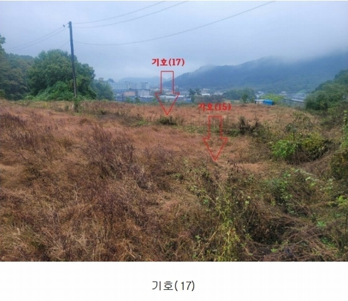 2024타경52534 경기도 안성시 삼죽면 진촌리 462-8 임야 경매 이미지