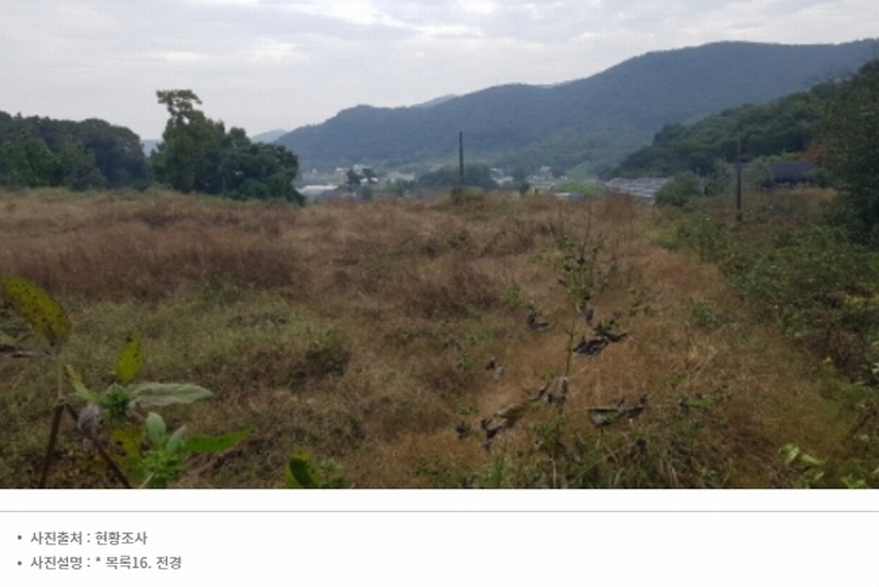 2024타경52534 경기도 안성시 삼죽면 진촌리 462-8 임야 경매 이미지