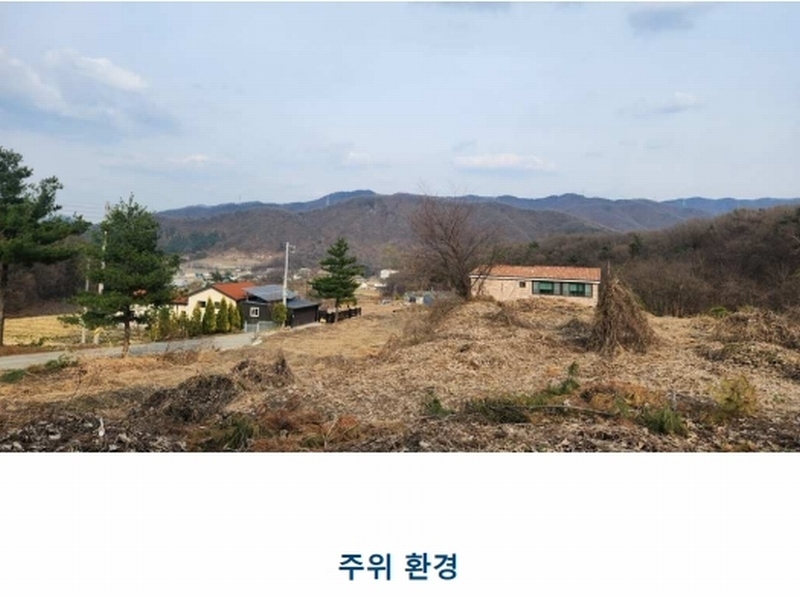 2024타경52534 경기도 안성시 삼죽면 진촌리 462-8 임야 경매 이미지