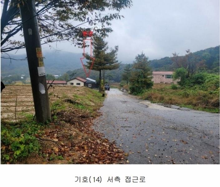 2024타경52534 경기도 안성시 삼죽면 진촌리 462-8 임야 경매 이미지