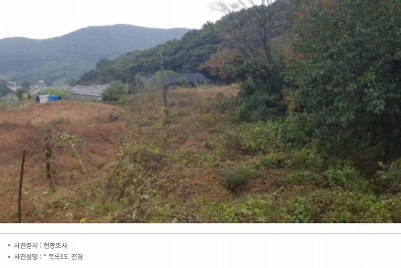 2024타경52534 경기도 안성시 삼죽면 진촌리 462-8 임야 경매 이미지