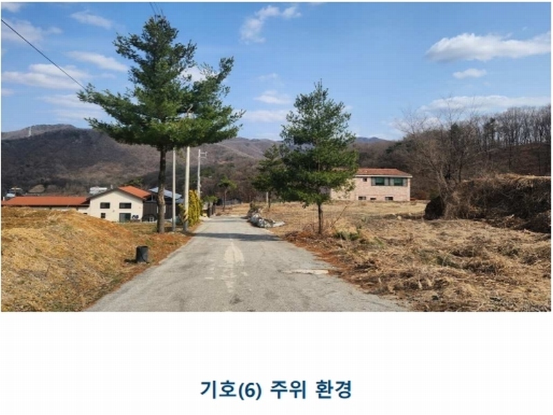 2024타경52534 경기도 안성시 삼죽면 진촌리 462-8 임야 경매 이미지