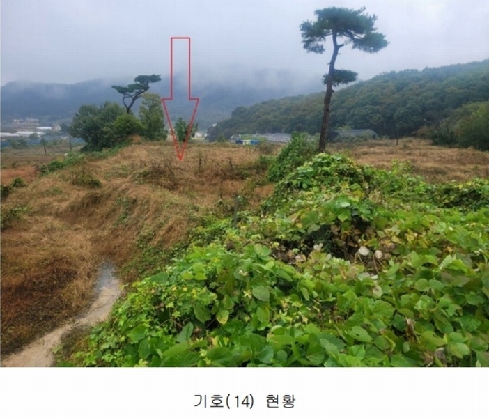 2024타경52534 경기도 안성시 삼죽면 진촌리 462-8 임야 경매 이미지