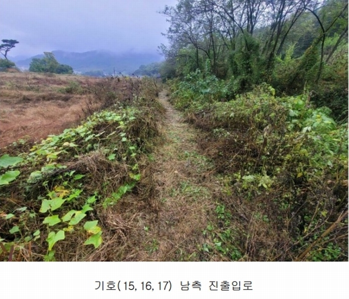 2024타경52534 경기도 안성시 삼죽면 진촌리 462-8 임야 경매 이미지