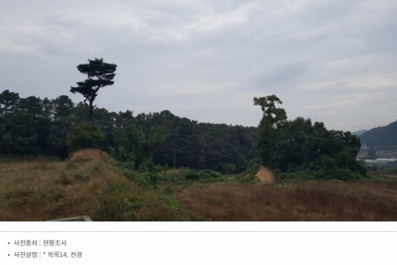 2024타경52534 경기도 안성시 삼죽면 진촌리 462-8 임야 경매 이미지