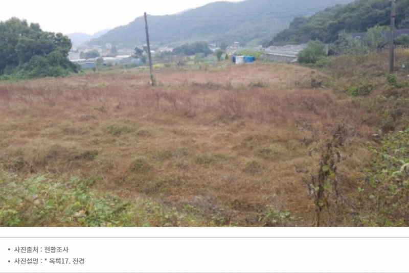 2024타경52534 경기도 안성시 삼죽면 진촌리 462-8 임야 경매 이미지