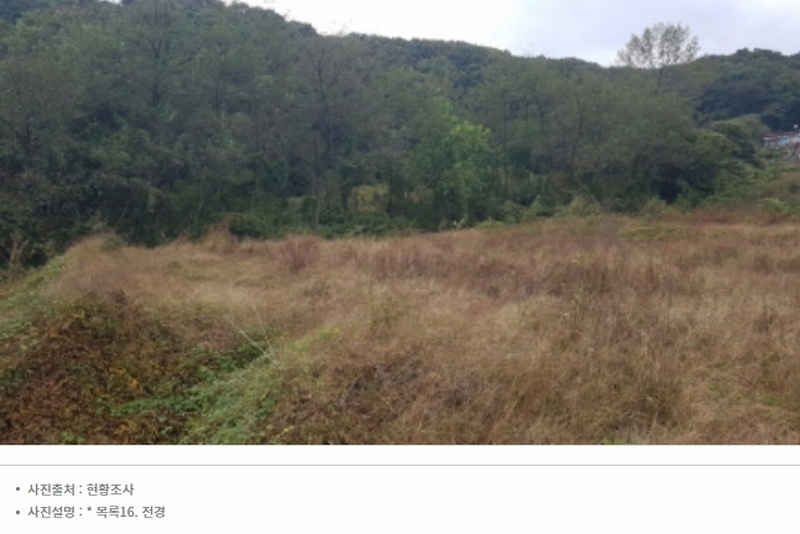 2024타경52534 경기도 안성시 삼죽면 진촌리 462-8 임야 경매 이미지