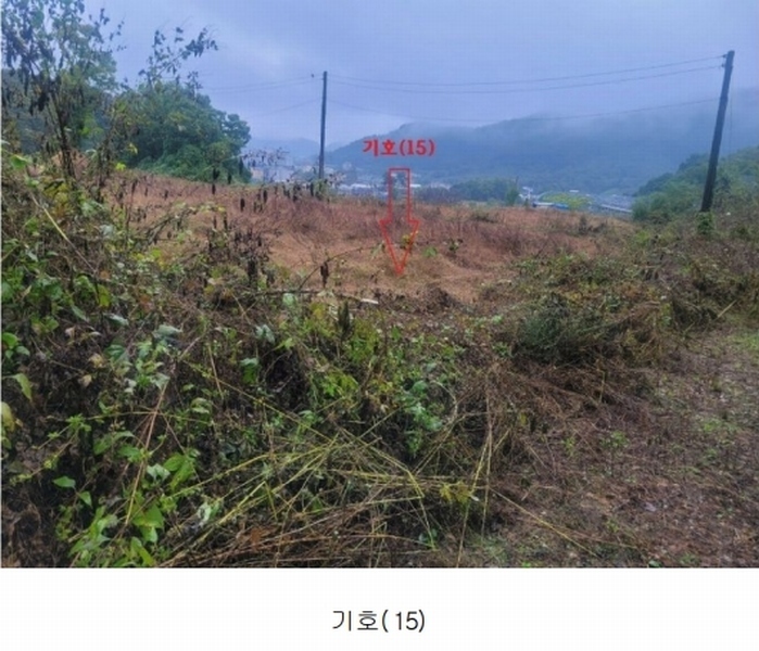 2024타경52534 경기도 안성시 삼죽면 진촌리 462-8 임야 경매 이미지