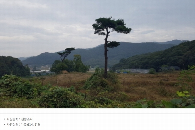 2024타경52534 경기도 안성시 삼죽면 진촌리 462-8 임야 경매 이미지