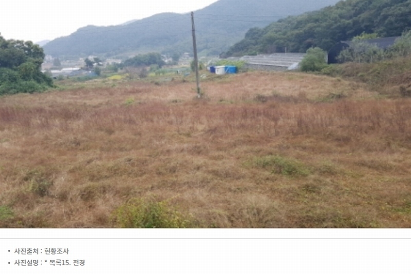 2024타경52534 경기도 안성시 삼죽면 진촌리 462-8 임야 경매 이미지