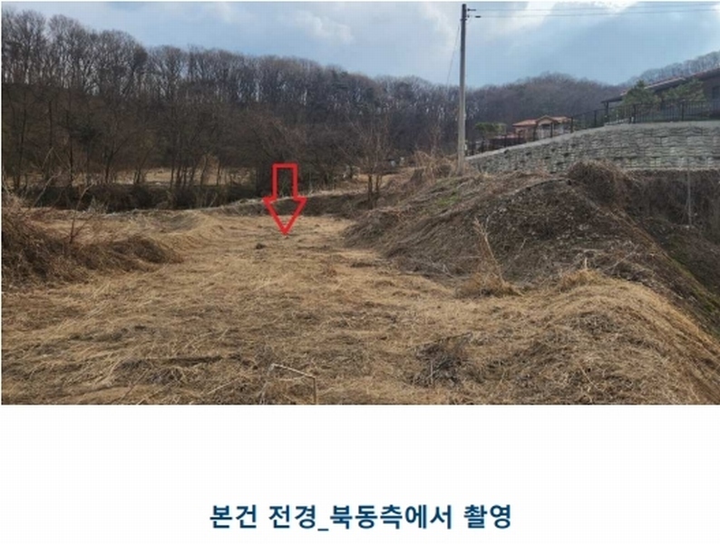 2024타경52534 경기도 안성시 삼죽면 진촌리 462-8 임야 경매 이미지