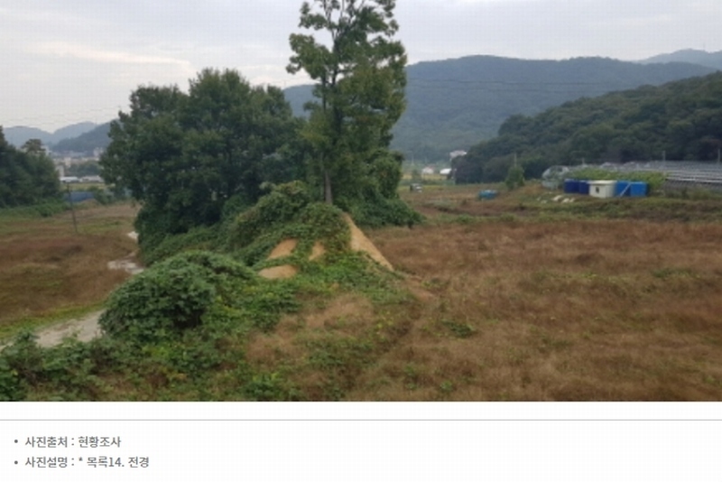 2024타경52534 경기도 안성시 삼죽면 진촌리 462-8 임야 경매 이미지