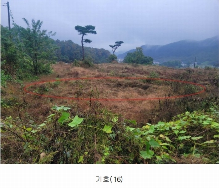 2024타경52534 경기도 안성시 삼죽면 진촌리 462-8 임야 경매 이미지