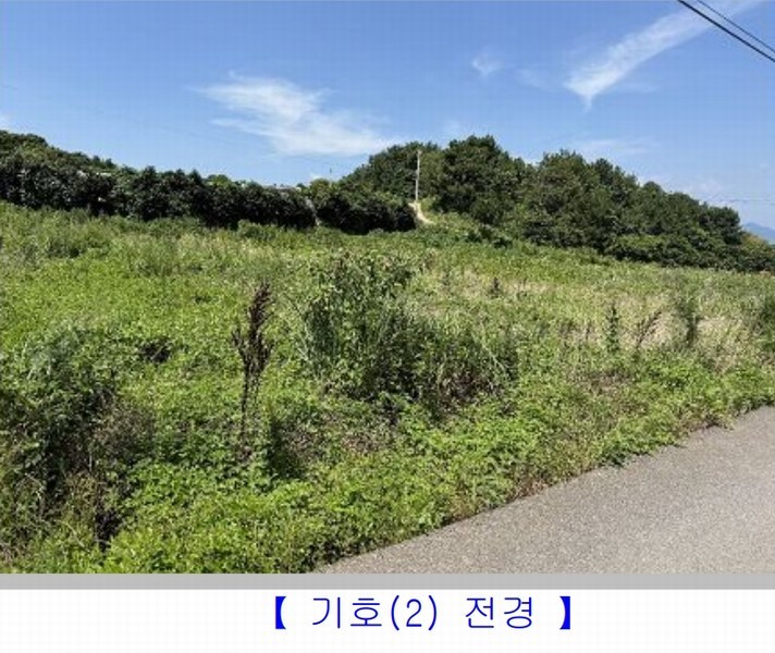 2025타경51798 전라남도 여수시 돌산읍 우두리 405-20 농지 경매 이미지