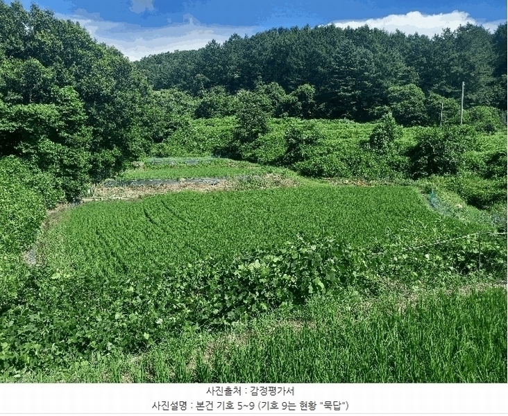 2025타경1051 충청남도 보령시 미산면 옥현리 526-1 농지 경매 이미지