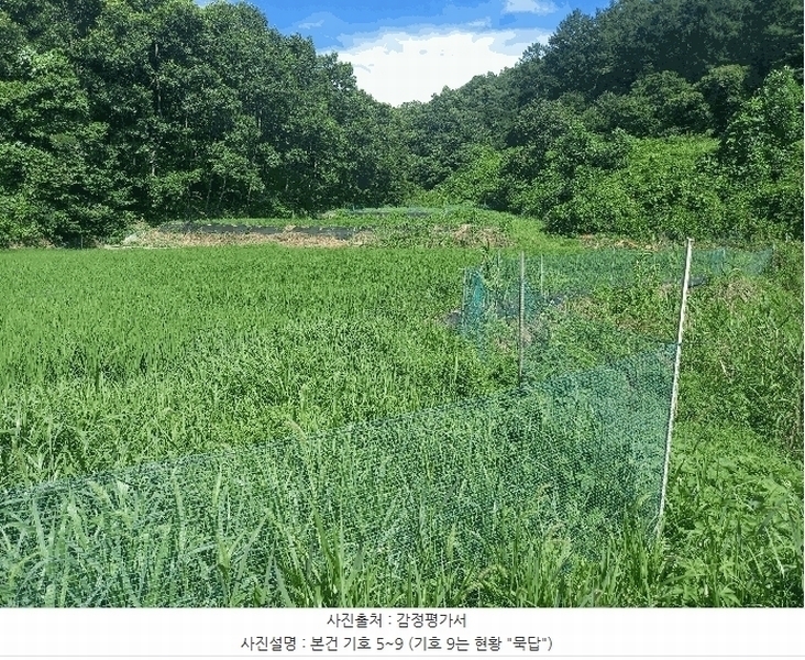 2025타경1051 충청남도 보령시 미산면 옥현리 526-1 농지 경매 이미지