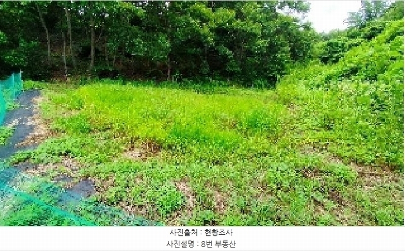 2025타경1051 충청남도 보령시 미산면 옥현리 526-1 농지 경매 이미지