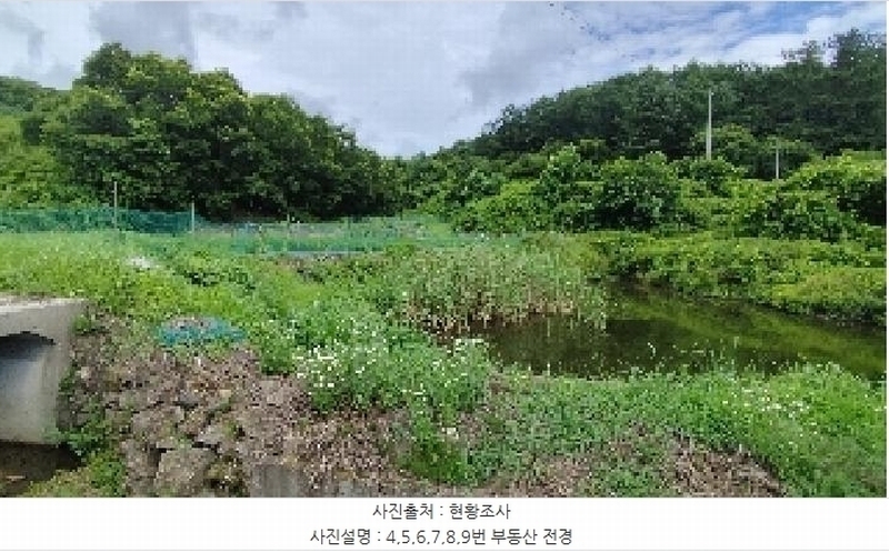 2025타경1051 충청남도 보령시 미산면 옥현리 526-1 농지 경매 이미지