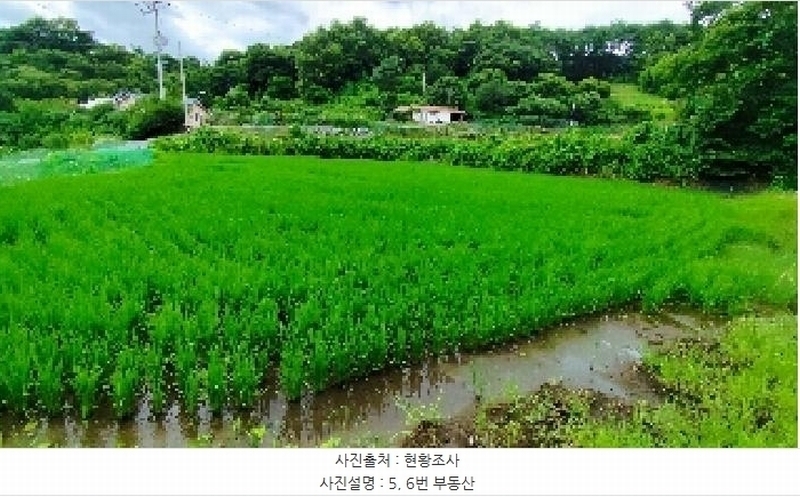 2025타경1051 충청남도 보령시 미산면 옥현리 526-1 농지 경매 이미지