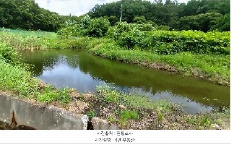 2025타경1051 충청남도 보령시 미산면 옥현리 526-1 농지 경매 이미지