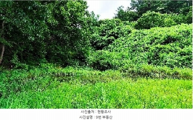 2025타경1051 충청남도 보령시 미산면 옥현리 526-1 농지 경매 이미지