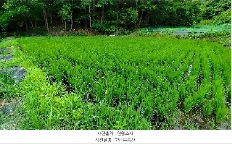 2025타경1051 충청남도 보령시 미산면 옥현리 526-1 농지 경매 이미지