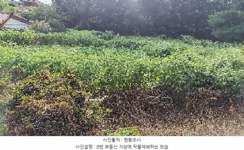 2025타경1069 충청남도 서천군 비인면 관리 510-5 임야 경매 이미지