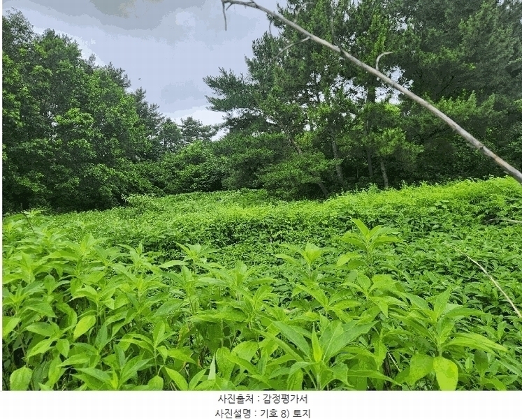 2025타경1069 충청남도 서천군 비인면 관리 510-5 임야 경매 이미지