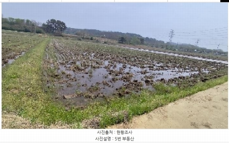 2025타경15641 충청남도 보령시 주교면 주교리 1642-7 농지 경매 이미지