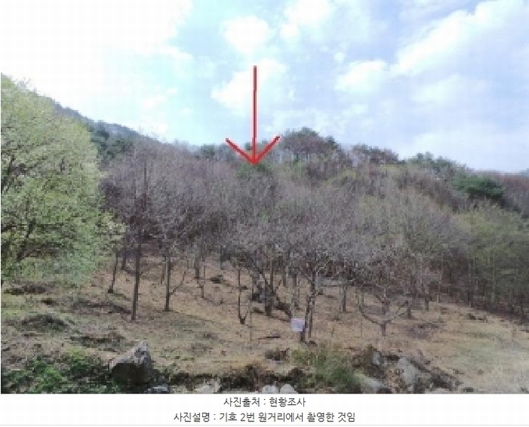 2025타경30436 강원특별자치도 영월군 김삿갓면 와석리 674 농지 경매 이미지