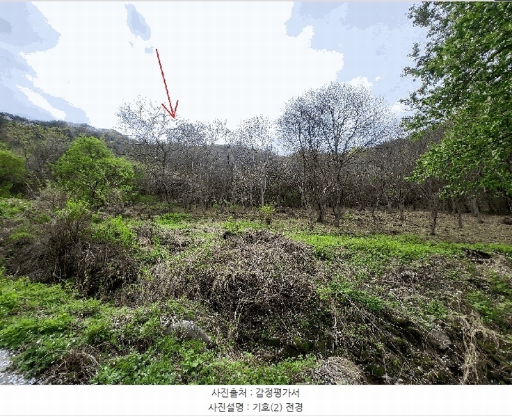 2025타경30436 강원특별자치도 영월군 김삿갓면 와석리 674 농지 경매 이미지