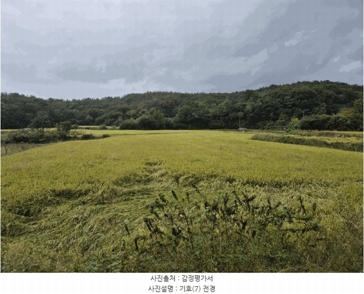 2025타경10719 경상북도 경주시 외동읍 구어리 966-1 농지 경매 이미지